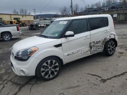 KIA Soul Vehiculos salvage en venta: 2013 KIA Soul +