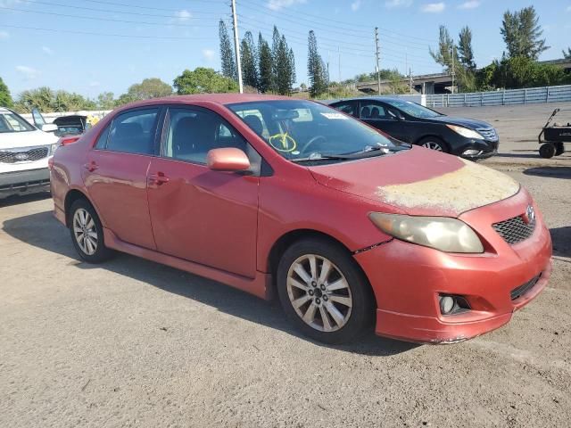 2010 Toyota Corolla Base