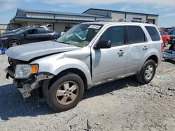 Salvage cars for sale at Earlington, KY auction: 2009 Ford Escape Limited