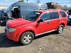 Salvage cars for sale at New Britain, CT auction: 2009 Ford Escape XLT