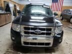 2009 Ford Escape Limited