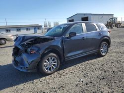 Mazda salvage cars for sale: 2024 Mazda CX-5 Preferred