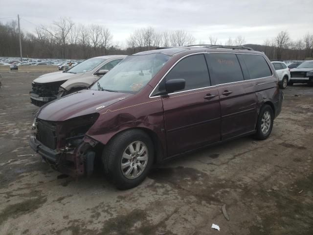 2008 Honda Odyssey EXL