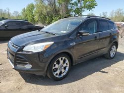 Ford Escape SEL Vehiculos salvage en venta: 2013 Ford Escape SEL