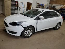 Salvage cars for sale at Ham Lake, MN auction: 2015 Ford Focus SE