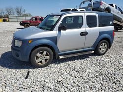 Honda Element salvage cars for sale: 2005 Honda Element EX