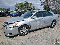 Salvage cars for sale at Baltimore, MD auction: 2010 Toyota Camry Base