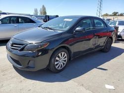 Salvage cars for sale at Vallejo, CA auction: 2013 Toyota Corolla Base