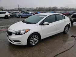 Salvage cars for sale at Louisville, KY auction: 2015 KIA Forte LX