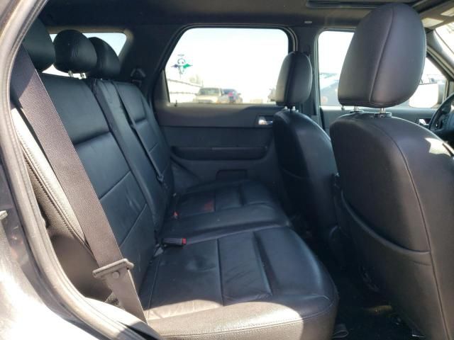 2008 Ford Escape Limited