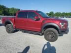 2019 Ford F150 Raptor