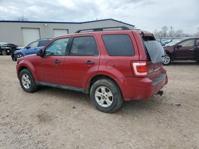 2009 Ford Escape XLT