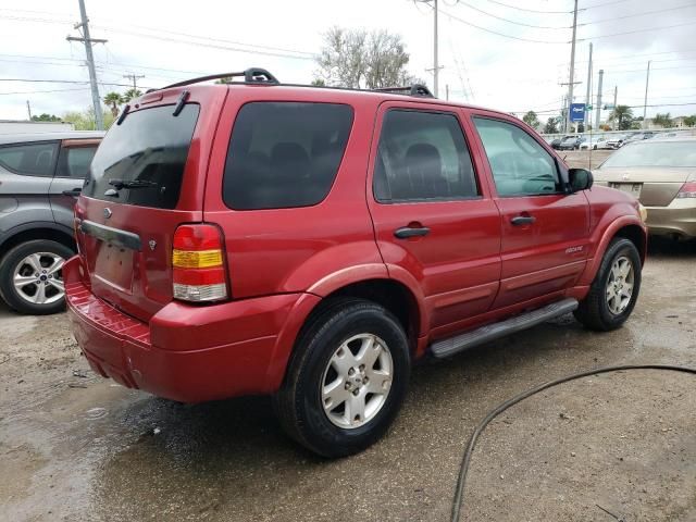 2007 Ford Escape XLT