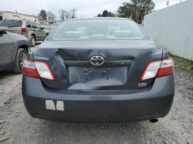 2007 Toyota Camry Hybrid