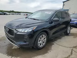 Ford Escape act salvage cars for sale: 2023 Ford Escape Active