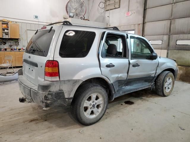 2007 Ford Escape XLT