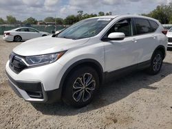 Honda salvage cars for sale: 2020 Honda CR-V EX