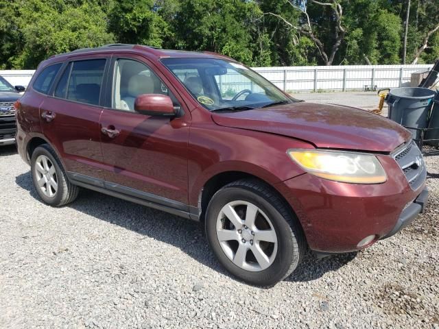 2009 Hyundai Santa FE SE