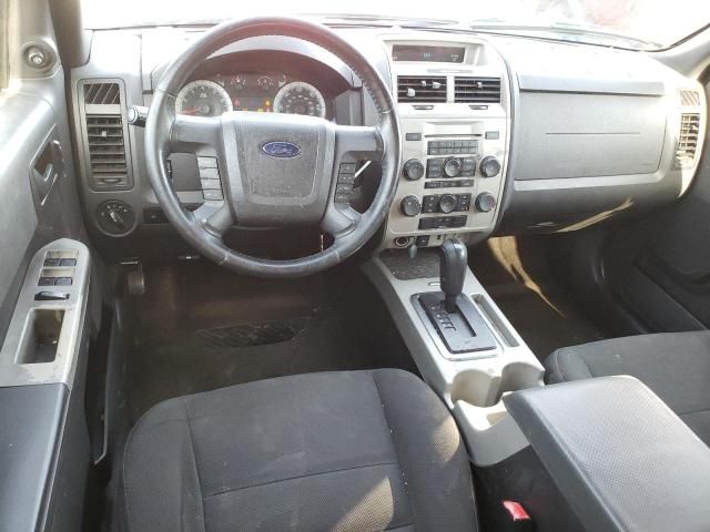 2009 Ford Escape XLT