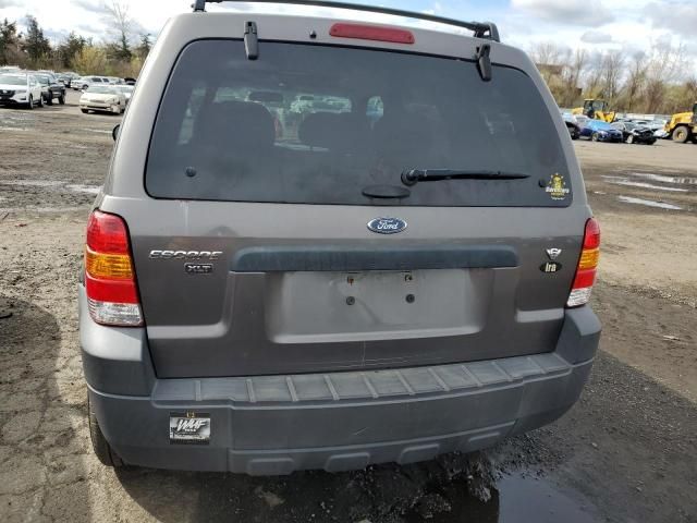 2006 Ford Escape XLT