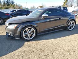 Audi TTS Vehiculos salvage en venta: 2012 Audi TTS Premium Plus