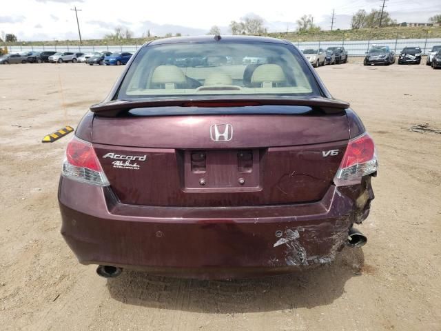 2010 Honda Accord EXL