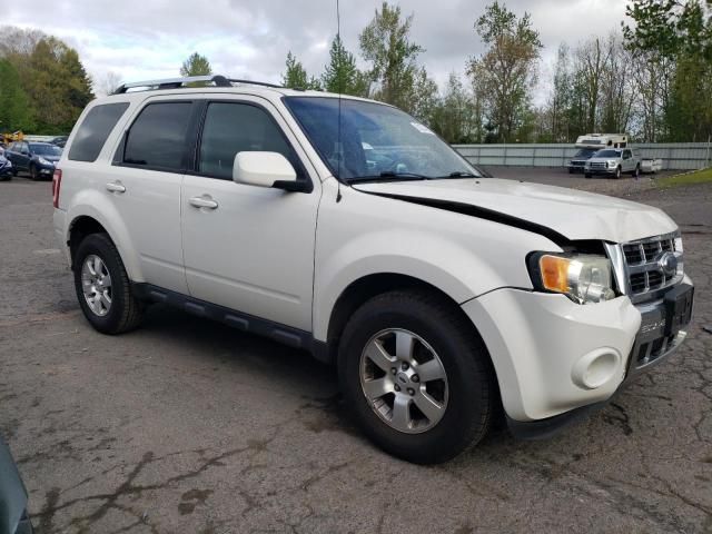 2009 Ford Escape Limited