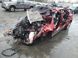 Vehiculos salvage en venta de Copart East Granby, CT: 2023 Cadillac XT5 Premium Luxury