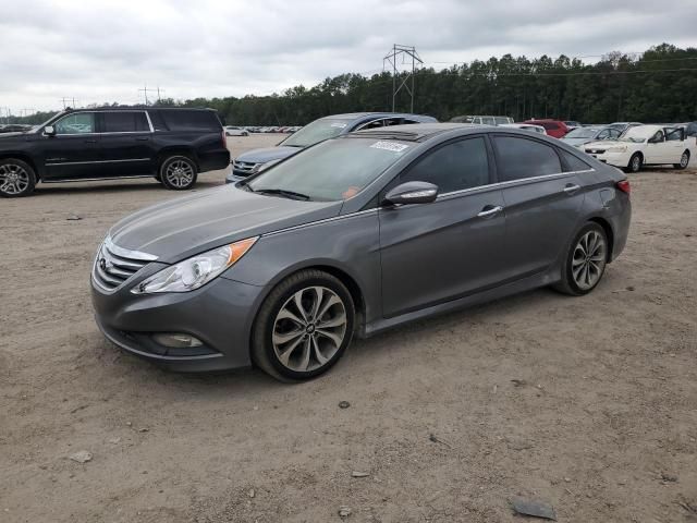 2014 Hyundai Sonata SE