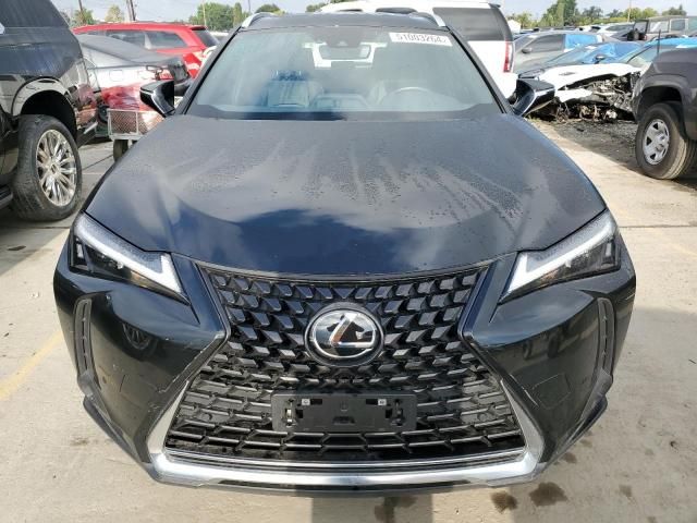 2023 Lexus UX 250H Base