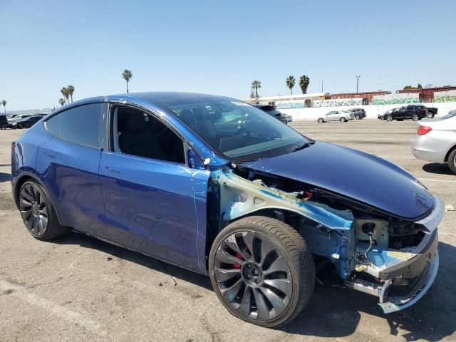 2024 Tesla Model Y