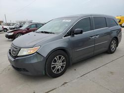 Salvage cars for sale from Copart Grand Prairie, TX: 2012 Honda Odyssey EXL