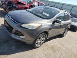 Ford Escape SEL Vehiculos salvage en venta: 2013 Ford Escape SEL