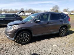 Salvage SUVs for sale at auction: 2016 Honda CR-V SE