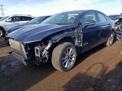 Salvage cars for sale at Elgin, IL auction: 2019 Ford Fusion SEL