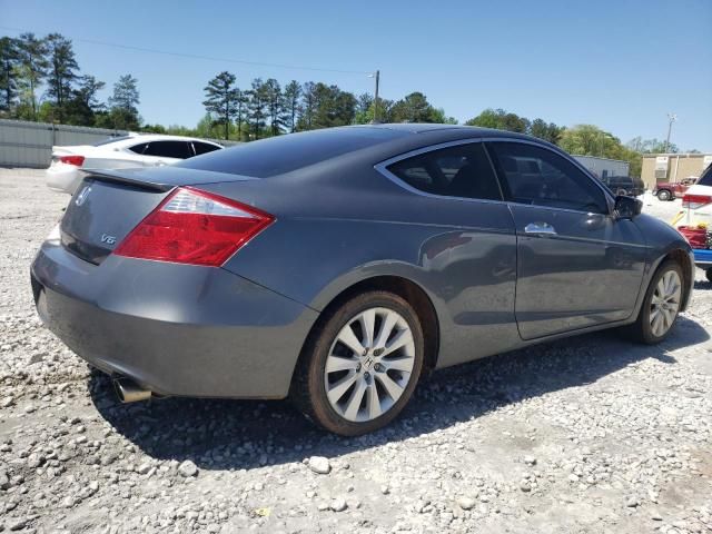 2010 Honda Accord EXL