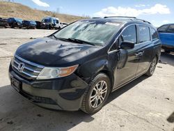 Salvage cars for sale at Littleton, CO auction: 2011 Honda Odyssey EXL