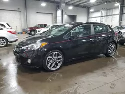 Salvage cars for sale at Ham Lake, MN auction: 2016 KIA Forte SX