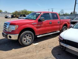 Salvage cars for sale from Copart Hillsborough, NJ: 2009 Ford F150 Supercrew