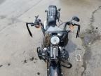 2009 Harley-Davidson Flstsb