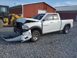 Vehiculos salvage en venta de Copart Ebensburg, PA: 2011 Dodge RAM 1500