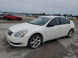 Nissan salvage cars for sale: 2004 Nissan Maxima SE