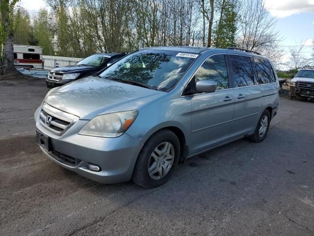 2005 Honda Odyssey EXL