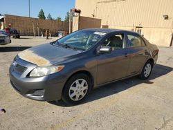 Salvage cars for sale at Gaston, SC auction: 2009 Toyota Corolla Base