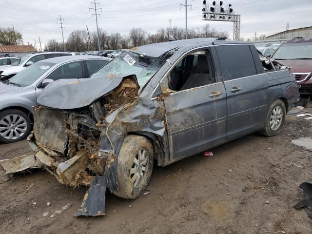 2010 Honda Odyssey EX