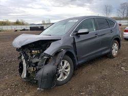 Salvage cars for sale at Columbia Station, OH auction: 2013 Honda CR-V EX