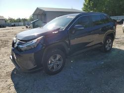 Salvage cars for sale at Midway, FL auction: 2023 Toyota Rav4 XLE