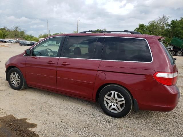 2006 Honda Odyssey EXL