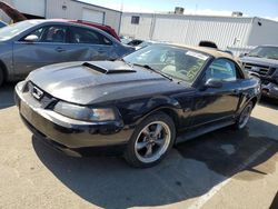 Salvage cars for sale at Vallejo, CA auction: 2003 Ford Mustang GT