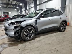 Ford Escape salvage cars for sale: 2022 Ford Escape SEL